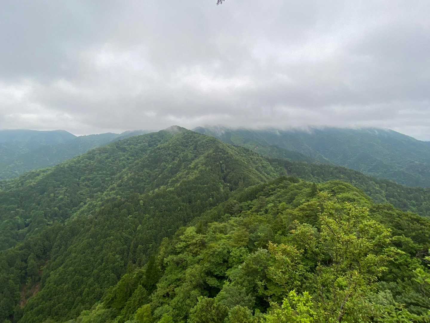 大天狗岩から南の開け眺望がいい。歩いてきた北尾根稜線。高見山は雲の中☁️
