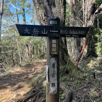 次は大岳山までいこー