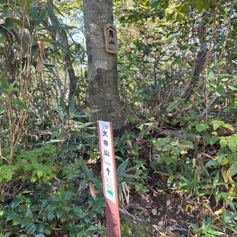 赤祖父山を後にし、下山の途につきます。
登りの時は気づかずに素通りした扇山。