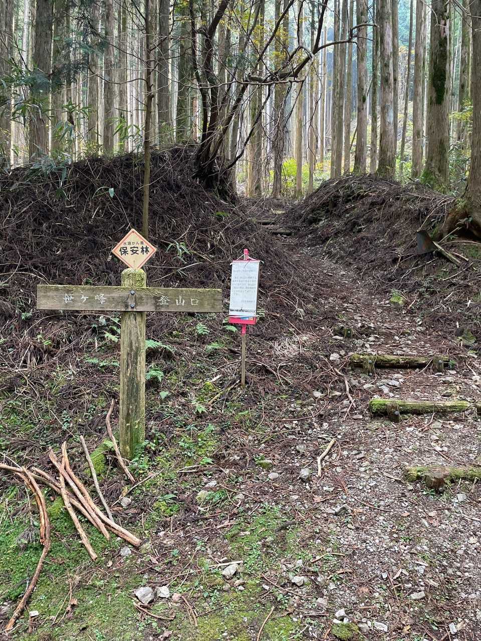登山口！行きますよー👍