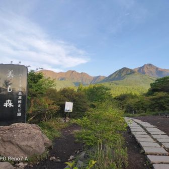 おおー！これから向かう赤岳が
そびえ立ってる！
真教寺尾根を進んで行きます。