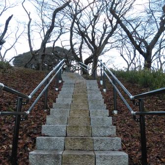 なかなかきつい階段。