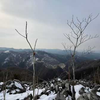 倉骨山着いたよー