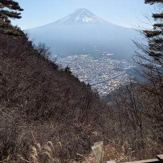 御殿からの富士山