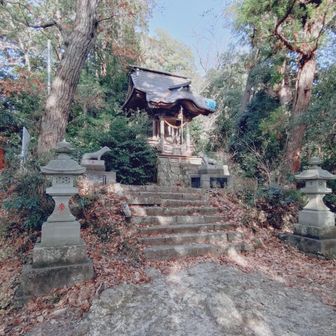 神社。
山頂への道は社に向かって左側に有り。
後からガイド読んだら縁結びで有名らしい。もっとしっかりお祈りしとけばよかった笑