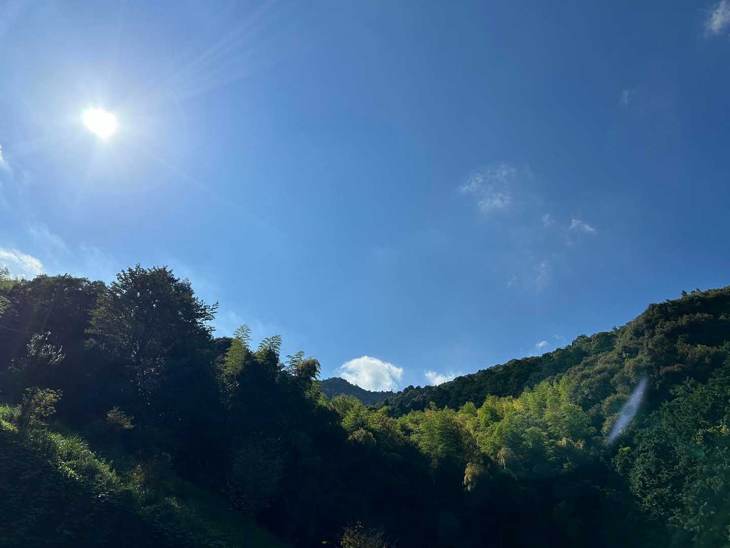 多度山 往復コースの写真