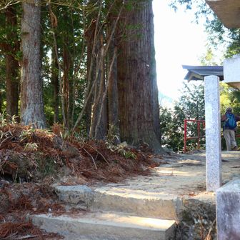 地味ですが、御岳山の山頂標。