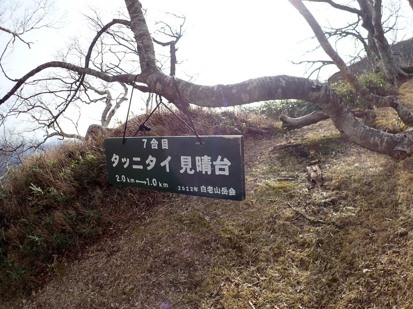 いい見晴台です