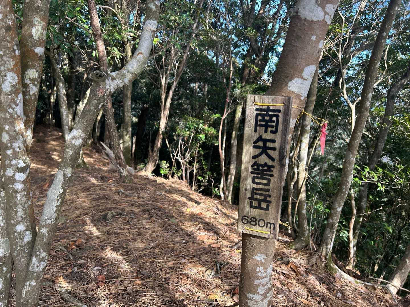 ピーク🚩