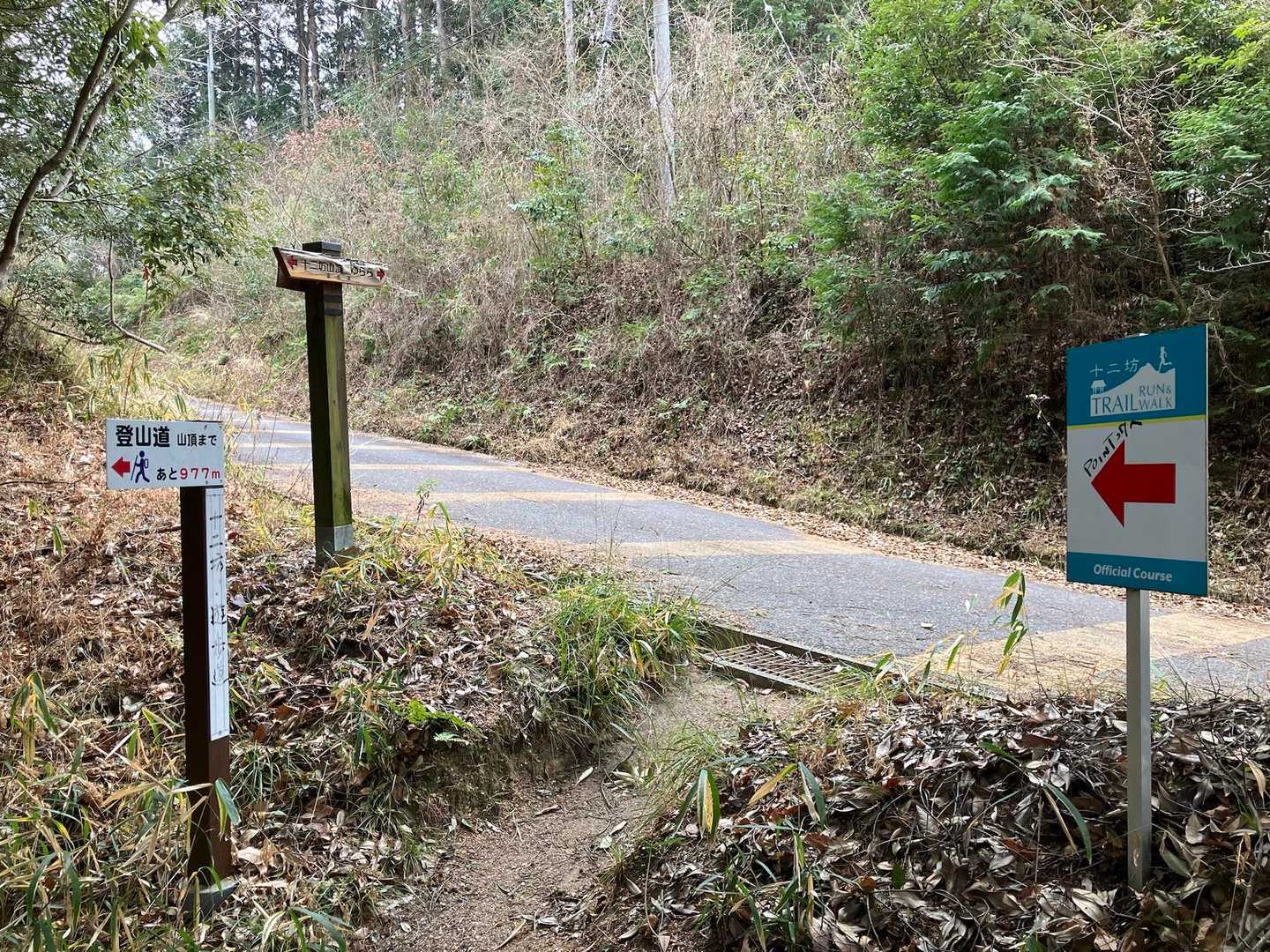 １回こけたけど、ケガなく下山