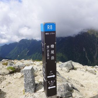檜尾岳とうちゃく
縦走路から少し外れますが、ピノキオ小屋に行ってみます🖐️