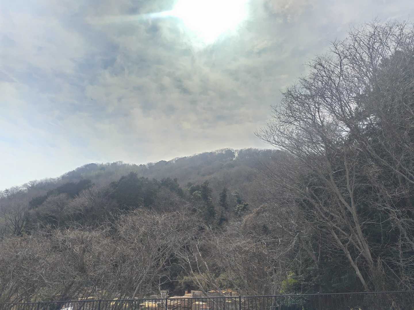 左手には登った岡山が見えました