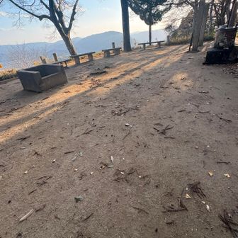 寒波の暴風🌀🌪️で
杉の🌲葉っぱめちゃくちゃ落ちてました💦