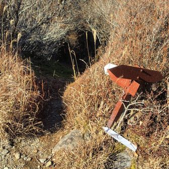 コチラから東平へ急降下