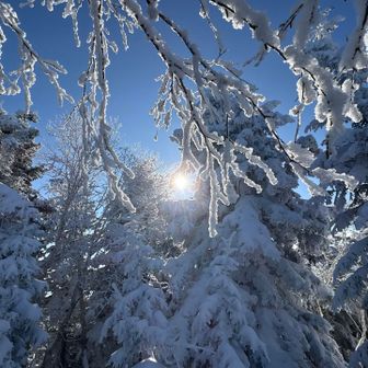 ほぼ無風だけどキン🧊キン🧊に寒い🥶
名残惜しいけど下山‼️
