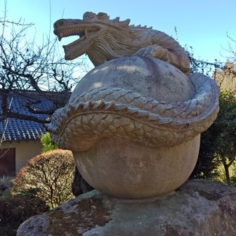 ドラゴンボール！