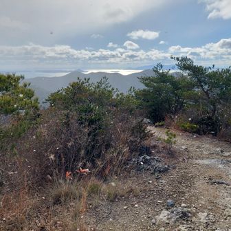 小豆島が見えるわ。雪花も写ってるぞ❄️
