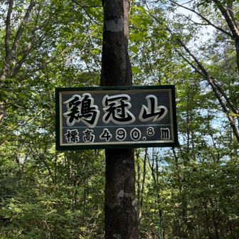 鶏冠山 490.8m