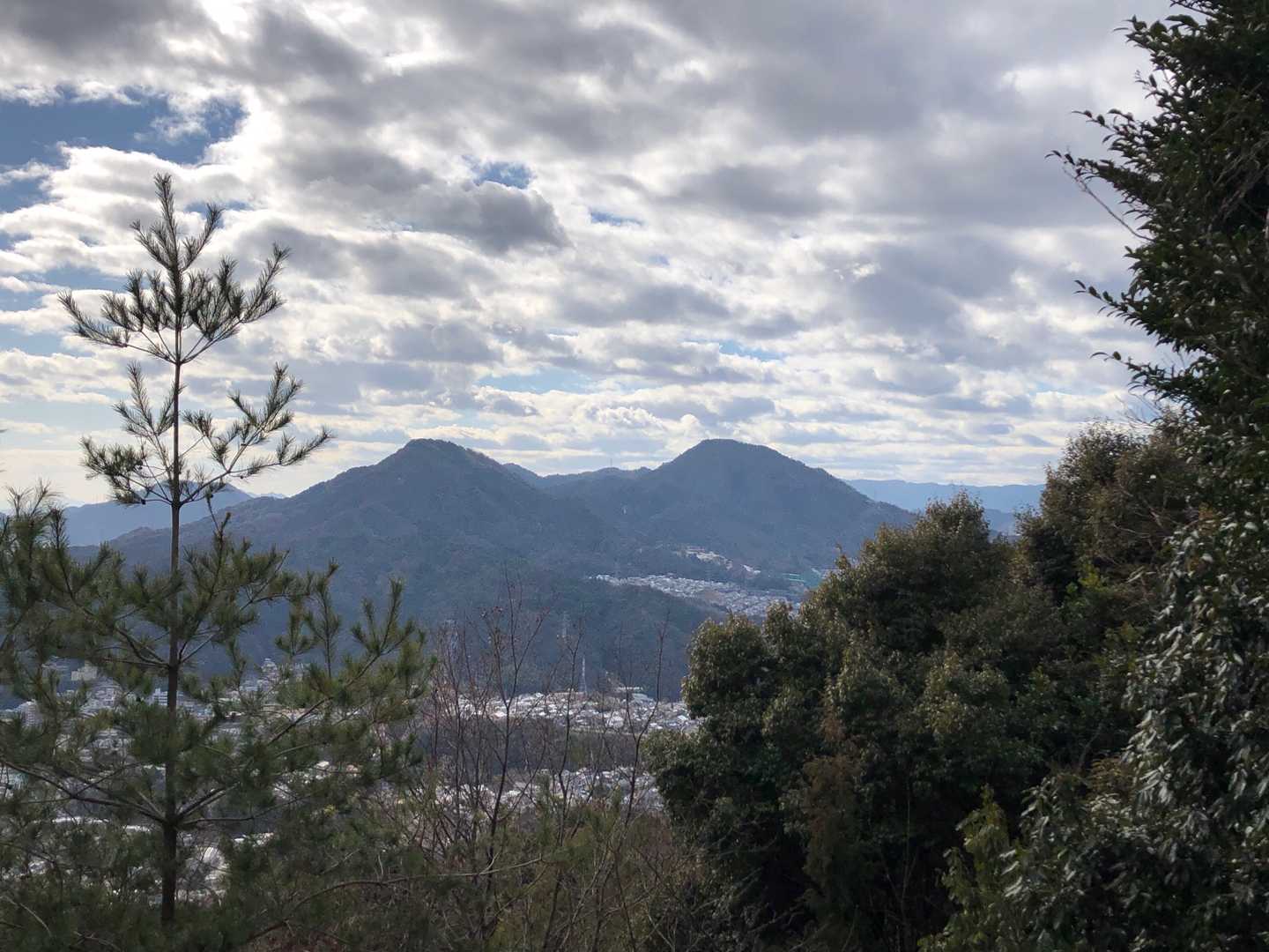権現山 周回コースの写真