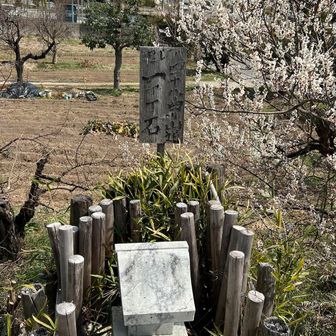 さんどうは、山道なの？参道？