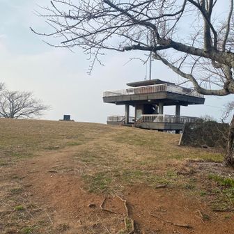 ハイ、山頂です。