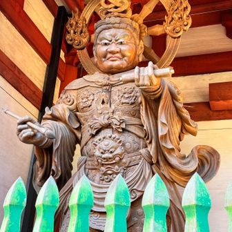 蝉は、沢山の人に知らせる