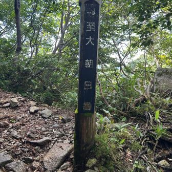 巻き道も、それはそれで険しかった。ようやく合流ポイントまで