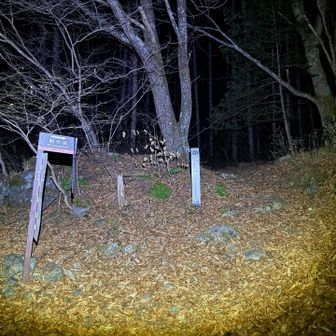 臨時駐車場から約2キロ、30分歩いてようやく桂小場登山口😣
🚾仮設トイレ撤去済み

土曜日にクマの足跡の目撃があったのでビビっている💦🐻🐾