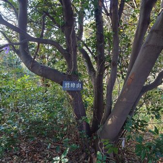 山頂標識
まさかの『じゅぶせん』😅