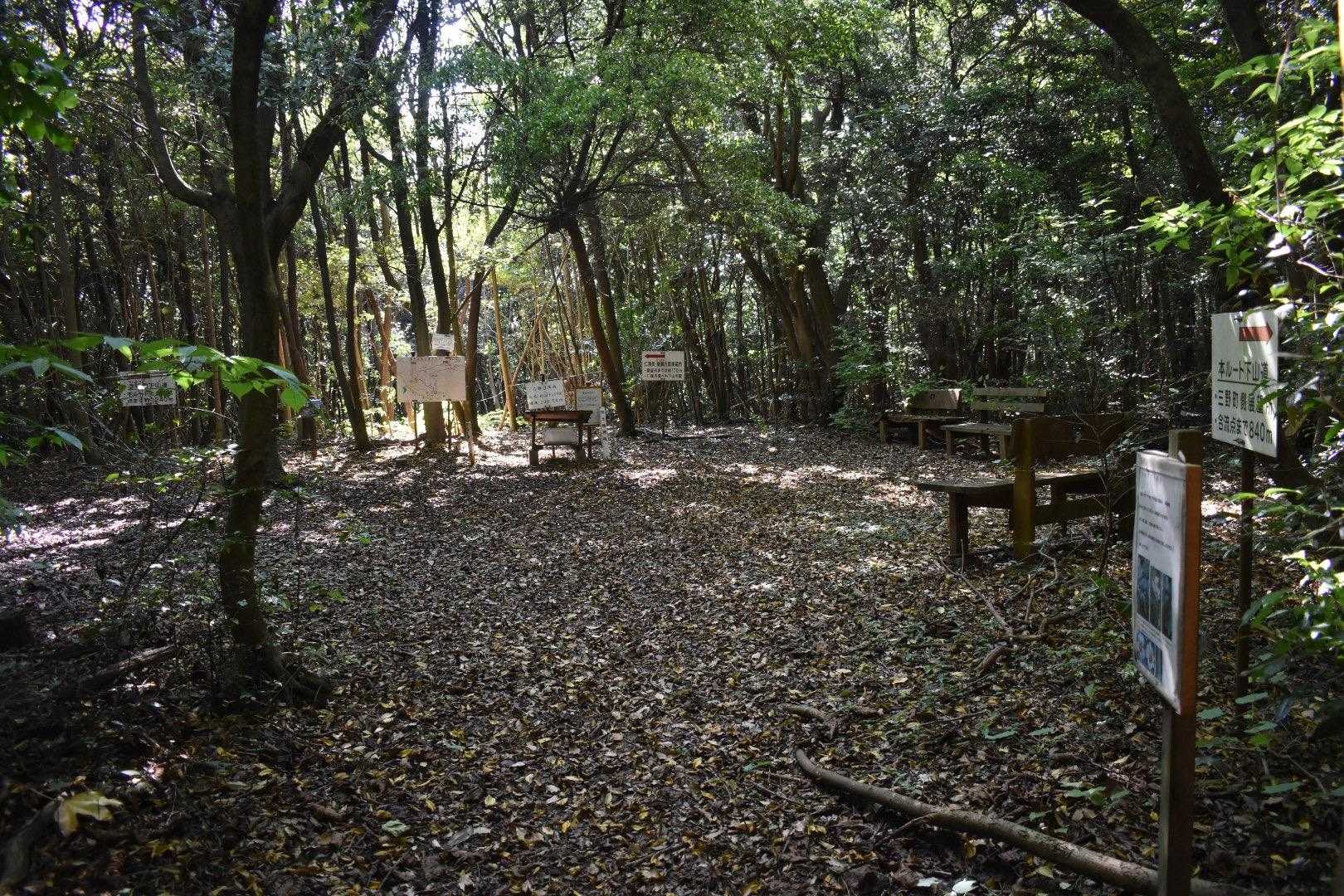 再び山頂です。