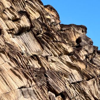 (⸝⸝⸝ᵒ̴̶̷ ⌑ ᵒ̴̶̷⸝⸝⸝)ｵｫｫ✨