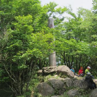 木柱が見ずらくなっていますが中岳(1188m)