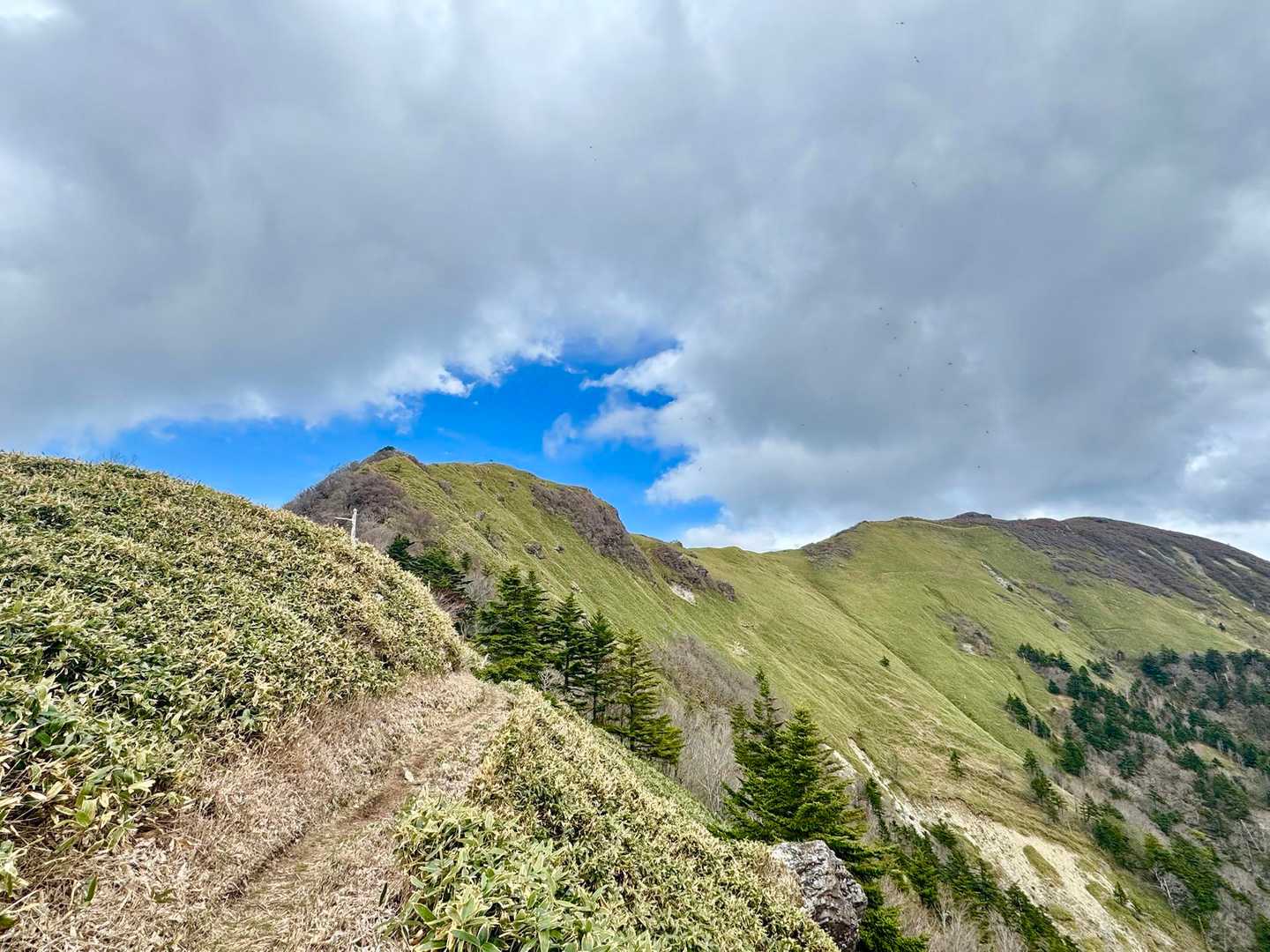 寒風山・笹ヶ峰周回 | 急登の先にひろがる四国名峰。360度のパノラマコースの写真