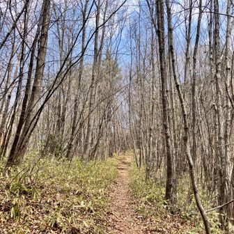 中山名物急登の始まり。