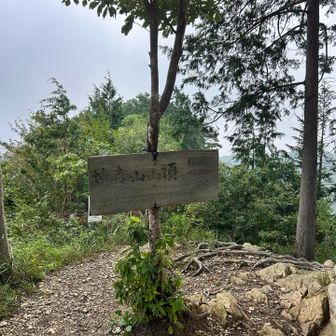 焼森山山頂