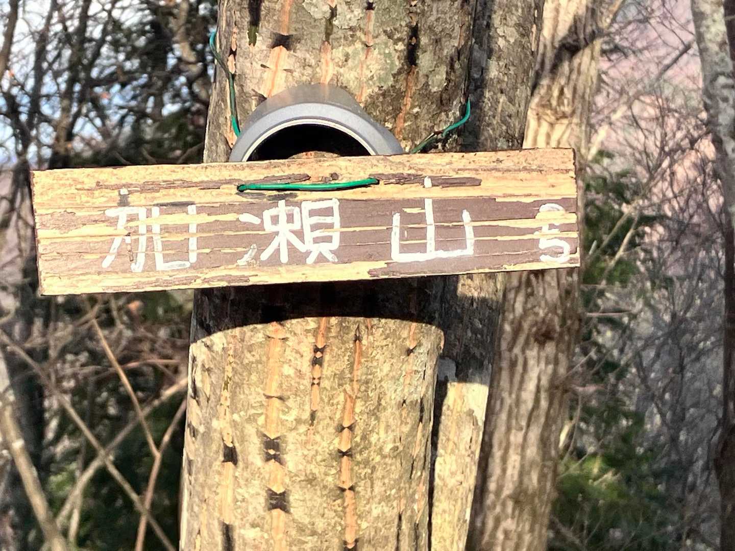 眺望なしの加瀬山！
コースから少し外れるので、
分岐に"山頂はこちら"と
目印看板あり🙏

…いっこ前の砂須山は
地味すぎてスルーしたね😂