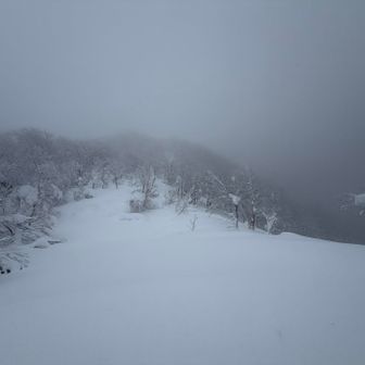 超えた裏側は風裏　
奥岳は見えず…