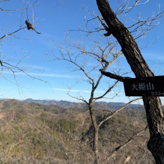大姫山　332M