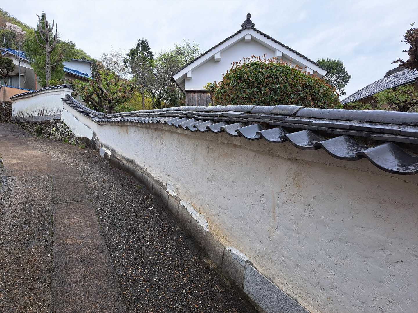この辺りの🏠は凄いな(^^;