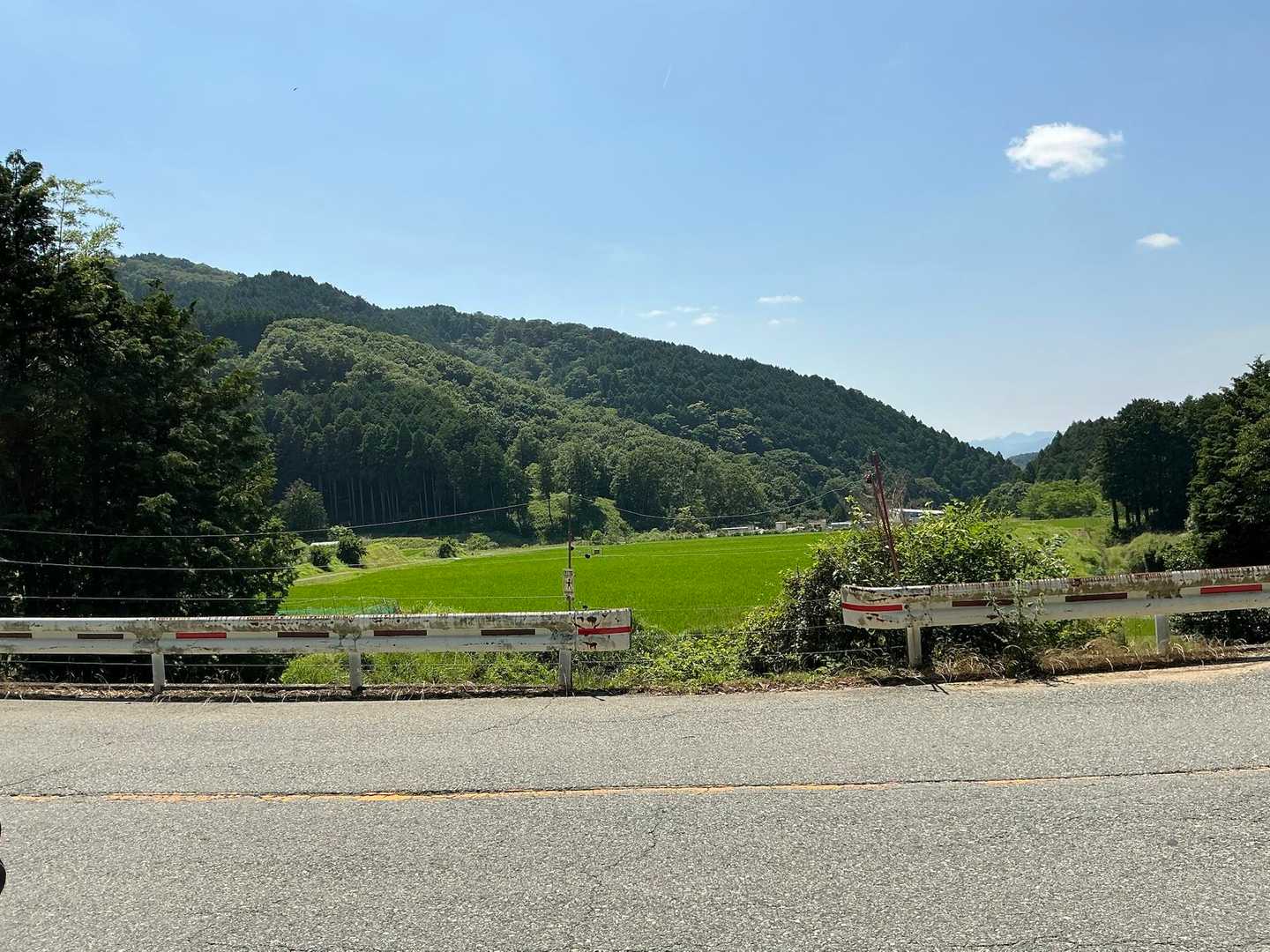 山道だったのがロードに出てきた。

急に暑くなる🥵