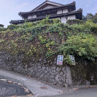登山口