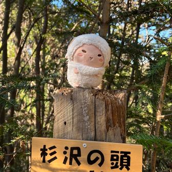 杉沢の頭ゲット