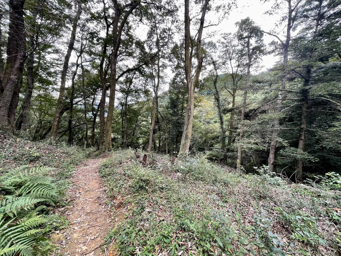 また人を避けて、こちらの道から下山します🙃