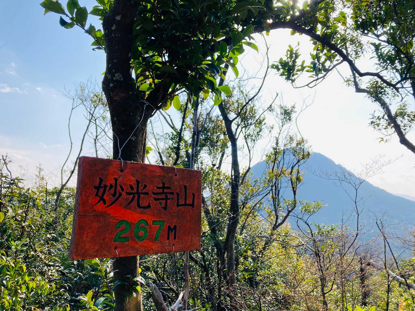 妙光寺山山頂267m