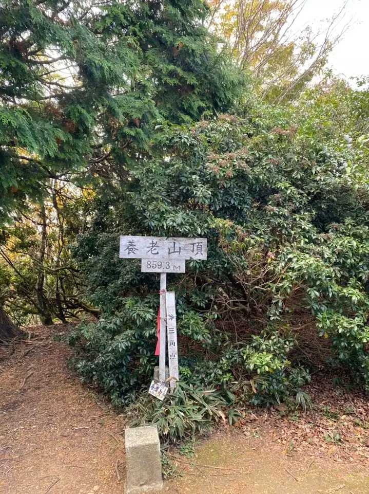養老山の写真