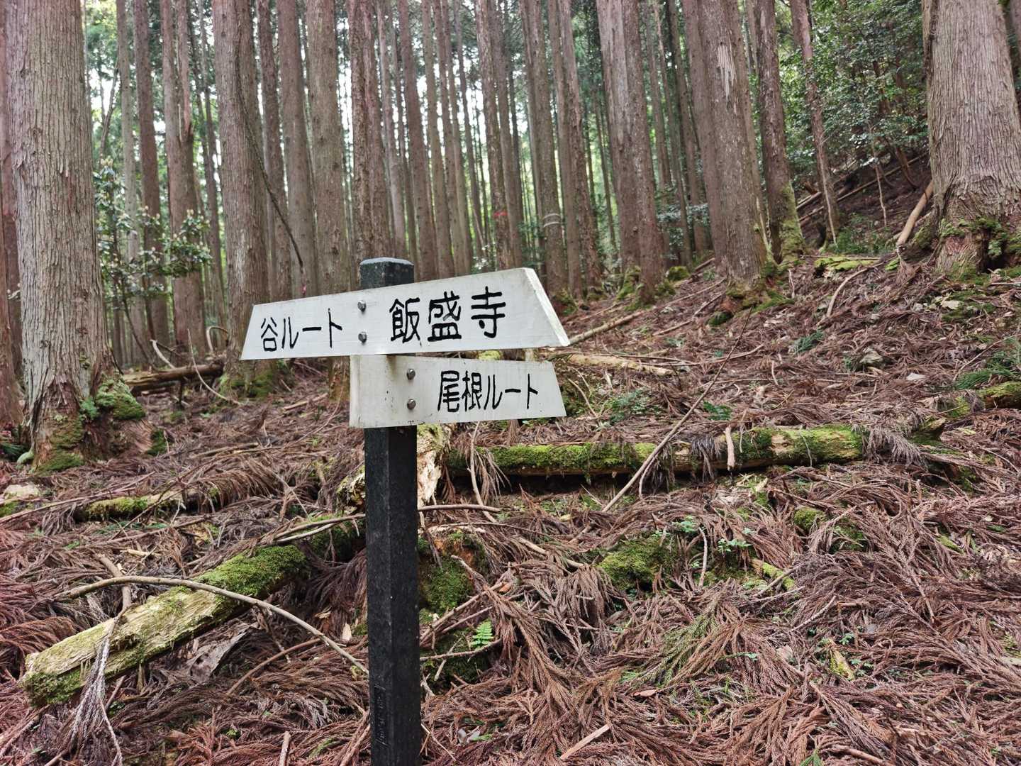 親切な🪧