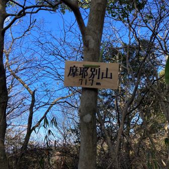 摩耶別山
大人3人でちょっと探しましたよ〜
ちょっと上の方にあって
風景に馴染んでました
アゴニー坂を下ります