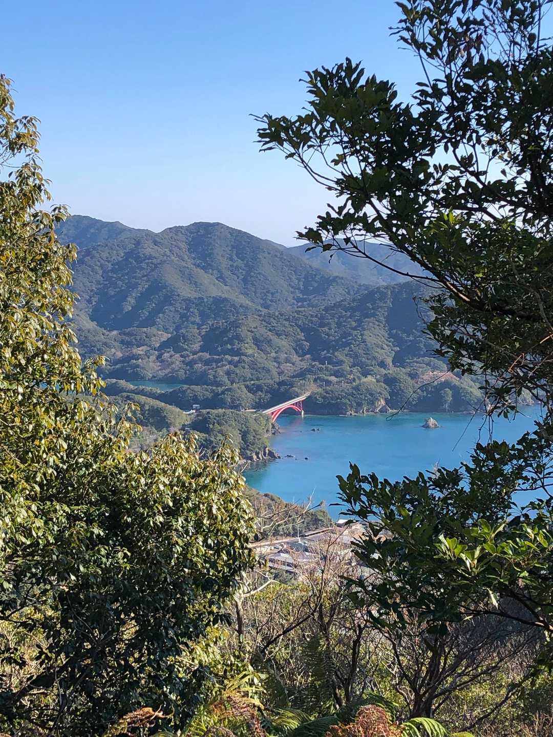 樹々の間から少し眺望あり
橋が見える。南島大橋