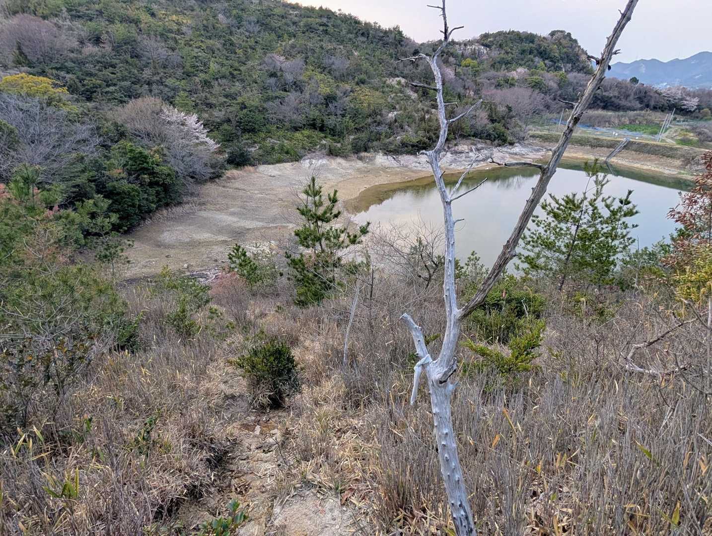細道（結構激下り💦）を降りていくと池にでました
