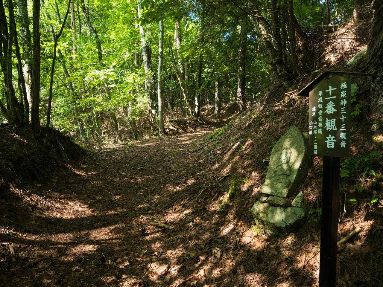 作業道がでてきた。これを登っていく。